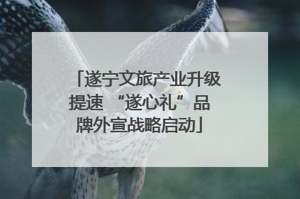 遂宁文旅产业升级提速 “遂心礼”品牌外宣战略启动