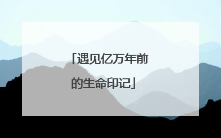 遇见亿万年前的生命印记