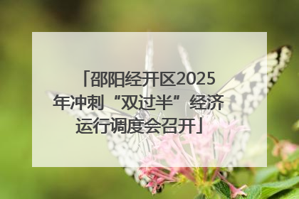 邵阳经开区2025年冲刺“双过半”经济运行调度会召开