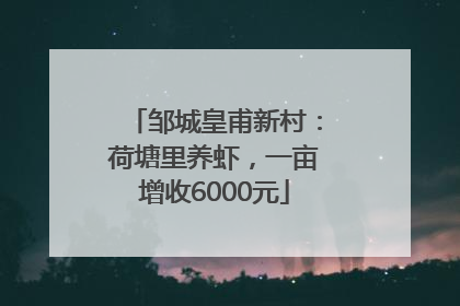 邹城皇甫新村：荷塘里养虾，一亩增收6000元