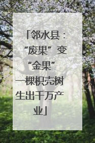 邻水县：“废果”变“金果” 一棵枳壳树生出千万产业