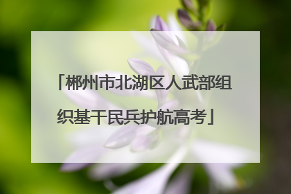 郴州市北湖区人武部组织基干民兵护航高考