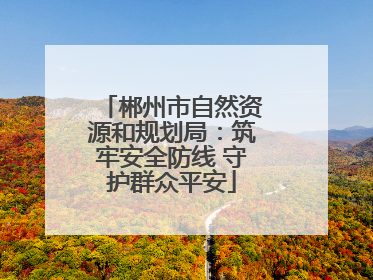 郴州市自然资源和规划局：筑牢安全防线 守护群众平安