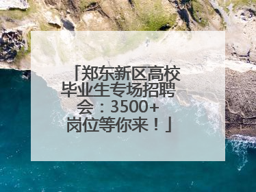郑东新区高校毕业生专场招聘会：3500+岗位等你来！