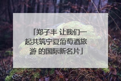 郑子丰 让我们一起共筑宁夏葡萄酒旅游 的国际新名片