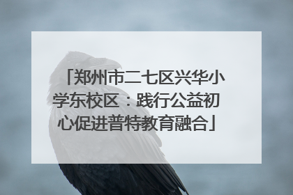 郑州市二七区兴华小学东校区：践行公益初心促进普特教育融合