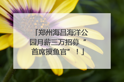 郑州海昌海洋公园月薪三万招募“首席摸鱼官”！