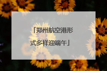 郑州航空港形式多样迎端午