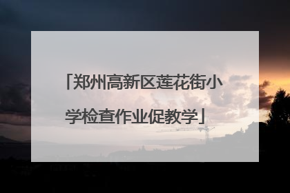 郑州高新区莲花街小学检查作业促教学
