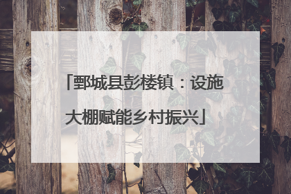 鄄城县彭楼镇：设施大棚赋能乡村振兴