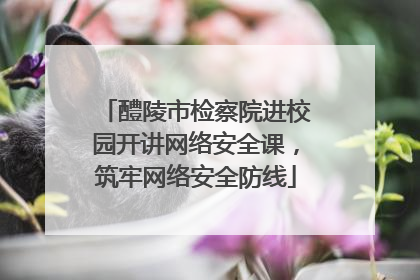 醴陵市检察院进校园开讲网络安全课，筑牢网络安全防线