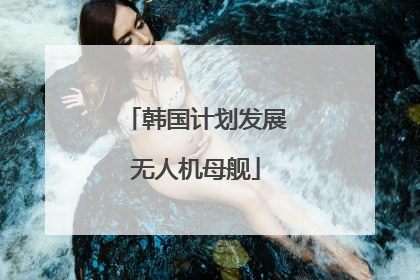 韩国计划发展无人机母舰