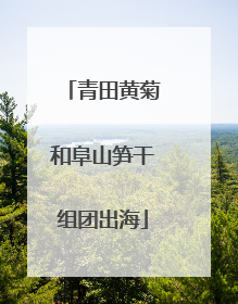 青田黄菊和阜山笋干组团出海