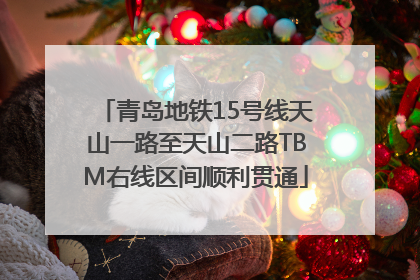 青岛地铁15号线天山一路至天山二路TBM右线区间顺利贯通