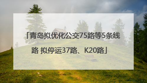 青岛拟优化公交75路等5条线路 拟停运37路、K20路
