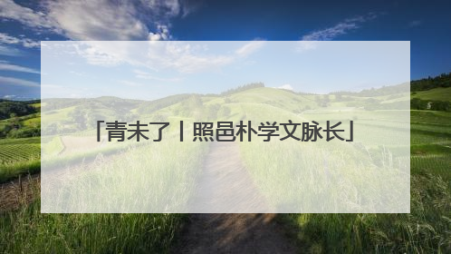 青未了丨照邑朴学文脉长