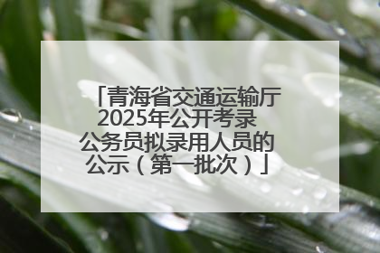 青海省交通运输厅2025年公开考录公务员拟录用人员的公示（第一批次）
