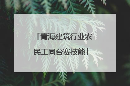 青海建筑行业农民工同台赛技能