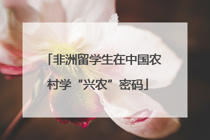 非洲留学生在中国农村学“兴农”密码