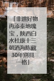 非遗好物再添秦地瑰宝，陕西白水杜康十三朝酒海陈藏30年别具一格