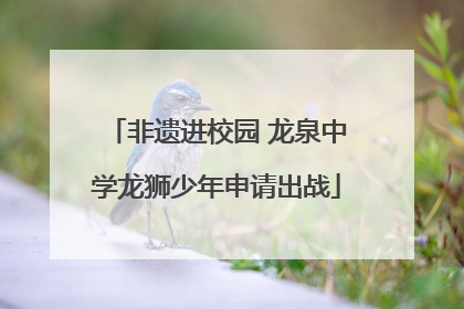 非遗进校园 龙泉中学龙狮少年申请出战