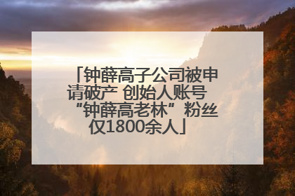 钟薛高子公司被申请破产 创始人账号“钟薛高老林”粉丝仅1800余人