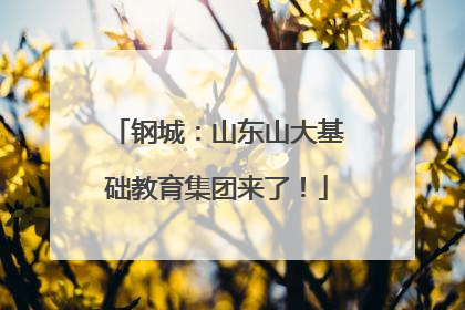 钢城：山东山大基础教育集团来了！