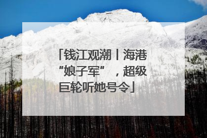 钱江观潮丨海港“娘子军”，超级巨轮听她号令