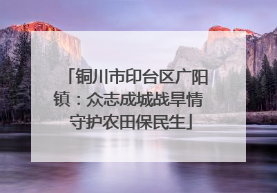 铜川市印台区广阳镇：众志成城战旱情 守护农田保民生