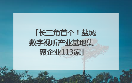 长三角首个！盐城数字视听产业基地集聚企业113家