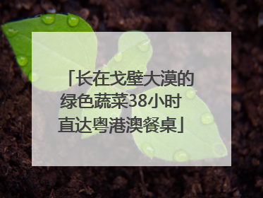 长在戈壁大漠的绿色蔬菜38小时直达粤港澳餐桌
