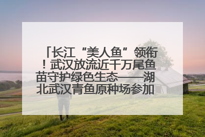 长江“美人鱼”领衔！武汉放流近千万尾鱼苗守护绿色生态——湖北武汉青鱼原种场参加2025年“全国放鱼日”增殖放流活动