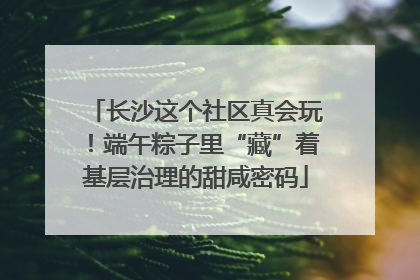 长沙这个社区真会玩！端午粽子里“藏”着基层治理的甜咸密码