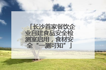 长沙首家餐饮企业自建食品安全检测室启用，食材安全“一测可知”