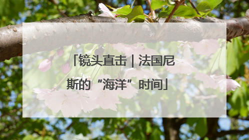 镜头直击｜法国尼斯的“海洋”时间