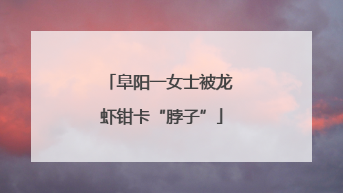 阜阳一女士被龙虾钳卡“脖子”
