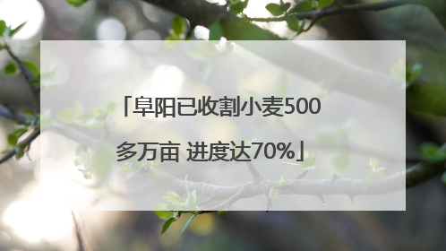阜阳已收割小麦500多万亩 进度达70%