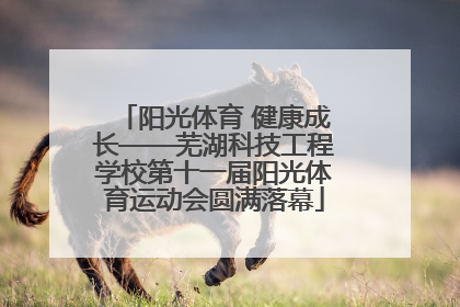阳光体育 健康成长——芜湖科技工程学校第十一届阳光体育运动会圆满落幕