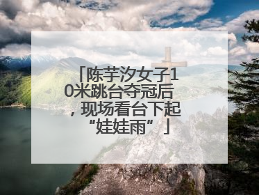 陈芋汐女子10米跳台夺冠后，现场看台下起“娃娃雨”