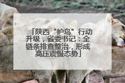 陕西“护鸟”行动升级，省委书记：全链条排查整治，形成高压震慑态势