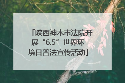 陕西神木市法院开展“6.5”世界环境日普法宣传活动