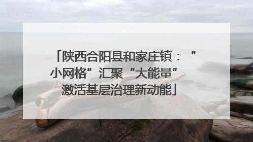 陕西合阳县和家庄镇：“小网格”汇聚“大能量” 激活基层治理新动能
