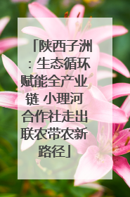 陕西子洲：生态循环赋能全产业链 小理河合作社走出联农带农新路径