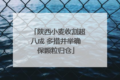 陕西小麦收割超八成 多措并举确保颗粒归仓