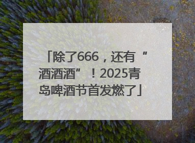除了666，还有“酒酒酒”！2025青岛啤酒节首发燃了