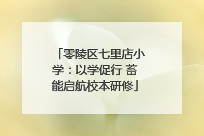 零陵区七里店小学：以学促行 蓄能启航校本研修