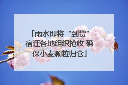 雨水即将“到货” 宿迁各地组织抢收 确保小麦颗粒归仓