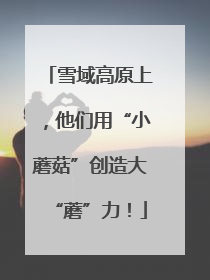 雪域高原上，他们用“小蘑菇”创造大“蘑”力！