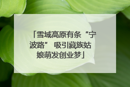 雪域高原有条“宁波路” 吸引藏族姑娘萌发创业梦