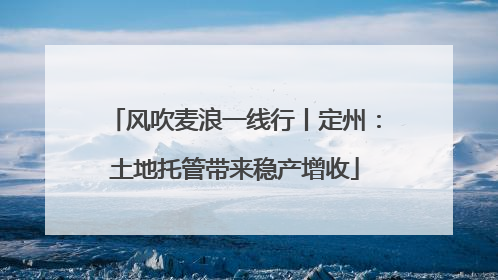 风吹麦浪一线行丨定州：土地托管带来稳产增收